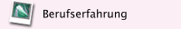 Berufserfahrung