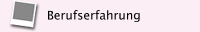 Berufserfahrung